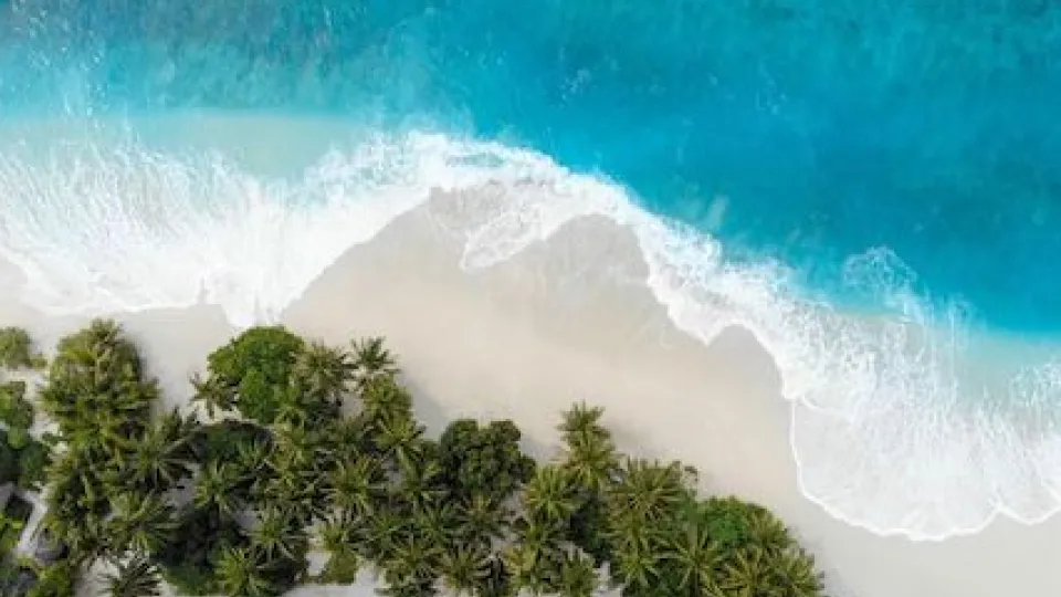 Ocean Breeze - Ocean, Beach, Waves, Sea, Sand, Relax, Calm, Nature, Tropical, Serenity - RELAXO is the Best Free