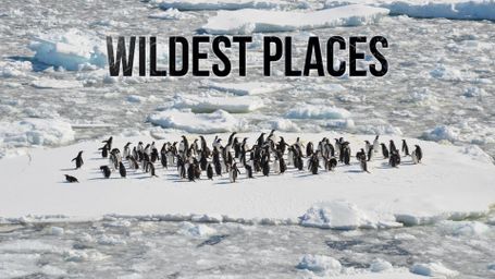 Wildest Places
