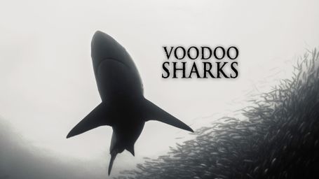Voodoo Sharks