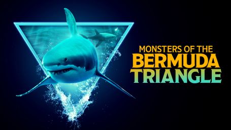 Monsters of the Bermuda Triangle