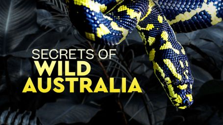 Secrets of Wild Australia