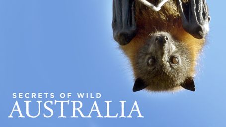Secrets of Wild Australia
