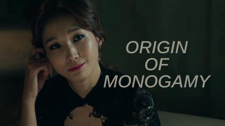 Origin of Monogamy