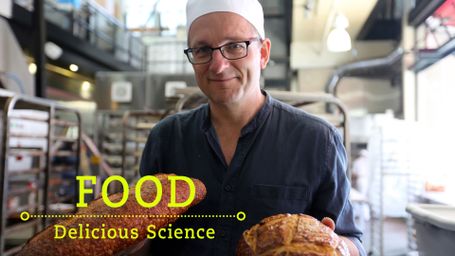The Secrets of Your Food