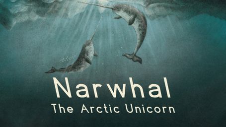 Narwhal: The Arctic Unicorn