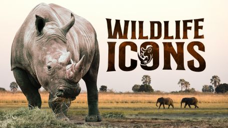 Wildlife Icons