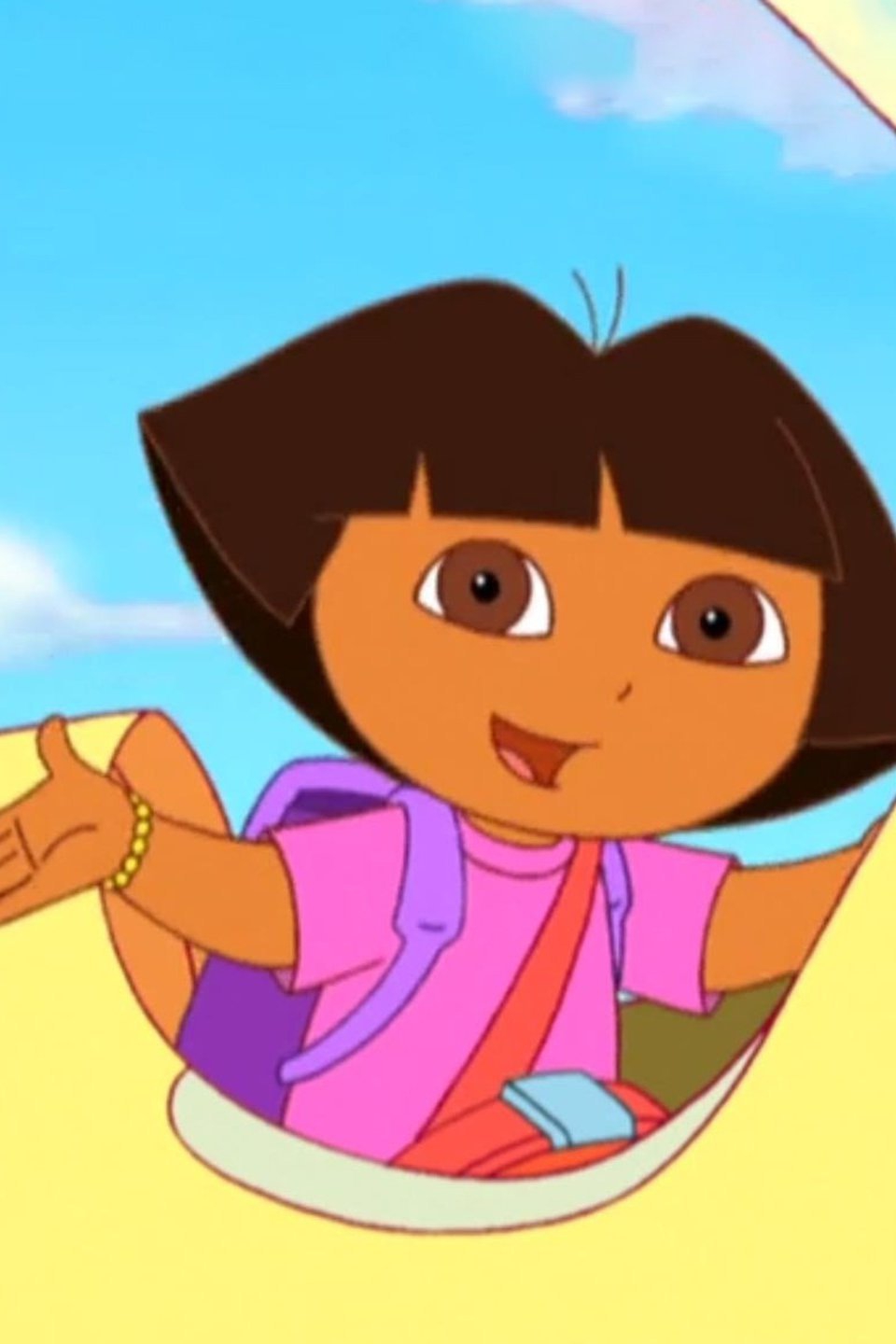 Dora The Explorer Armadillo