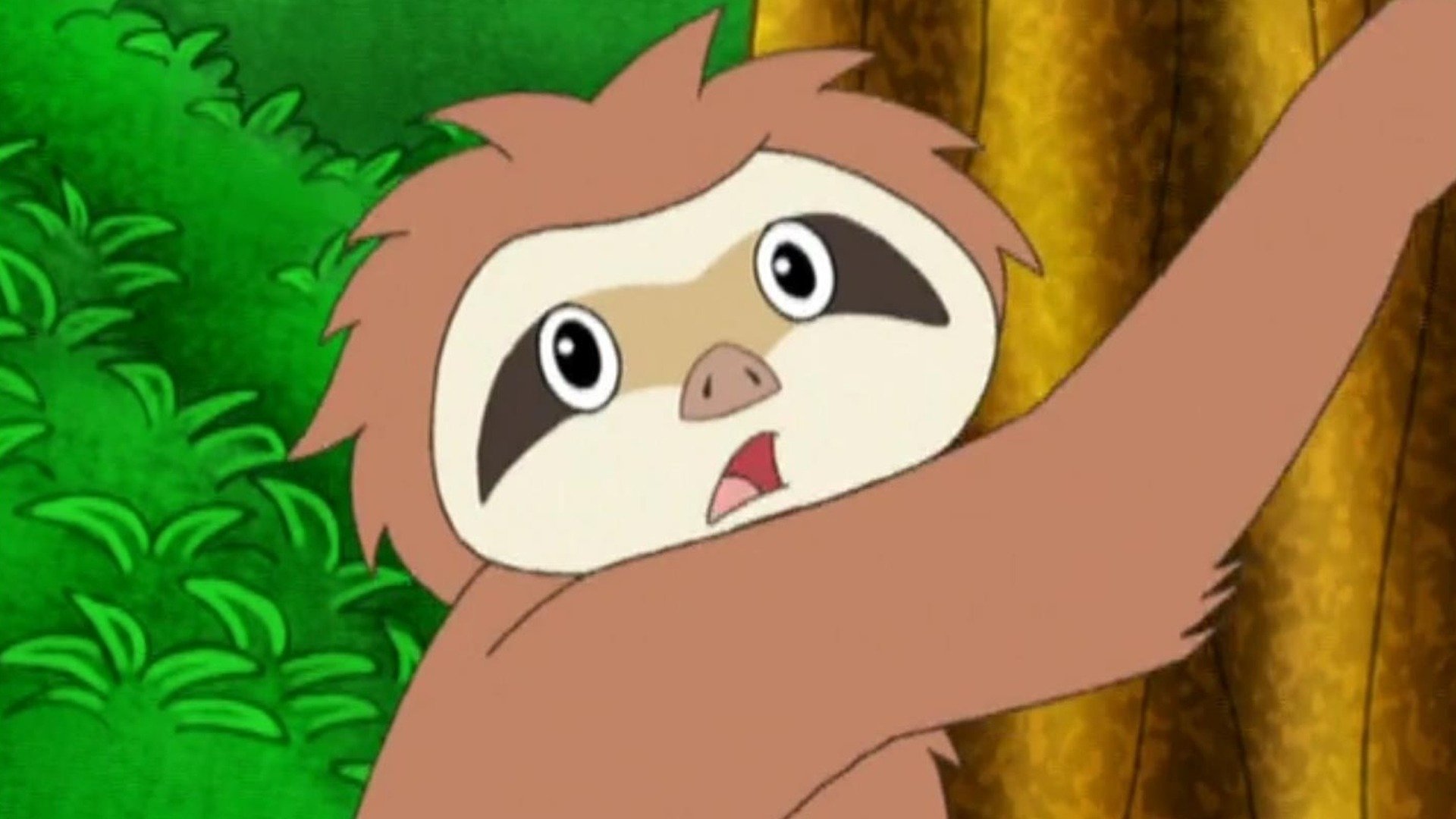 Go Go Guys Go Diego Go Little Kinkajou Is In Beehive