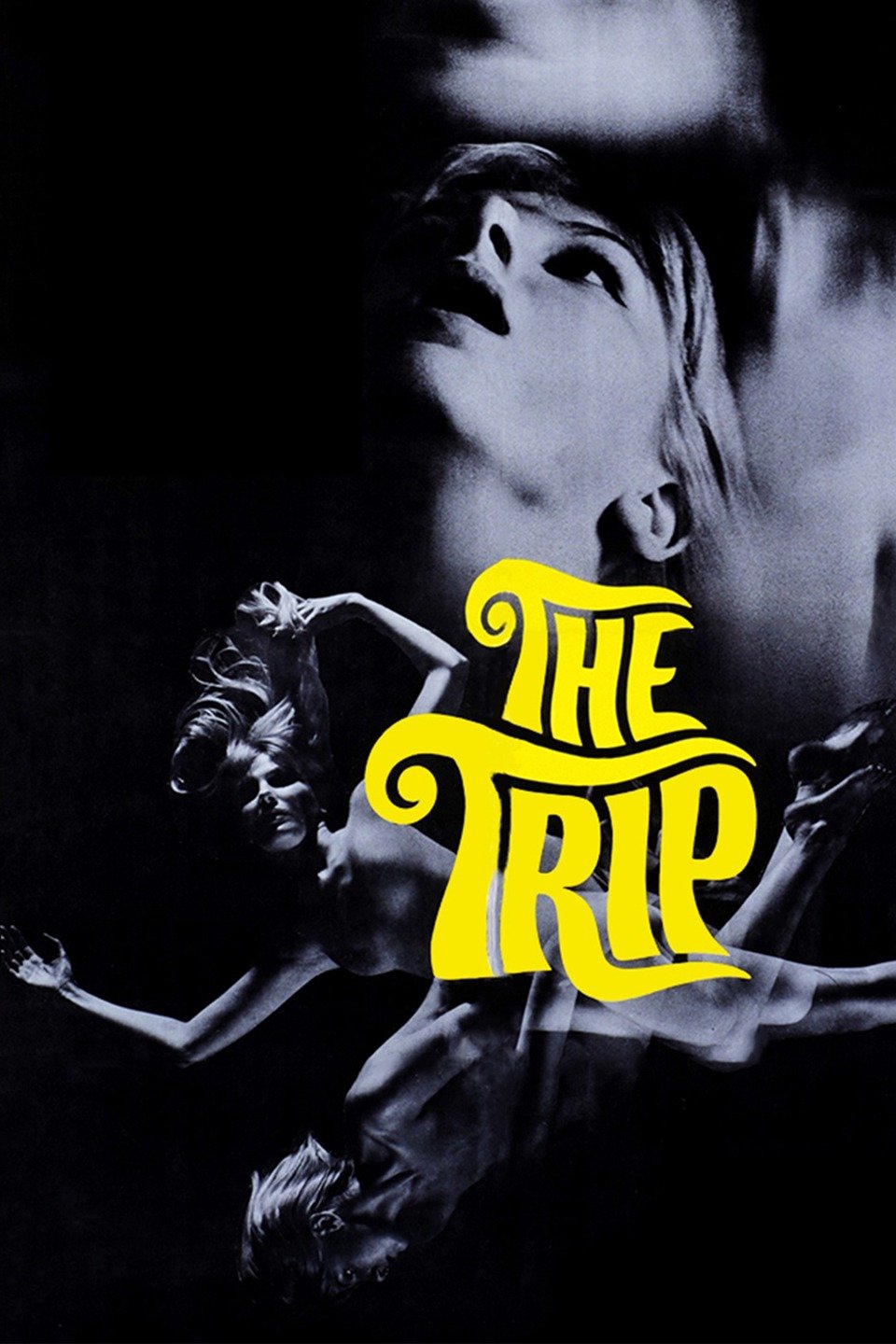 watch the trip 1967 online free