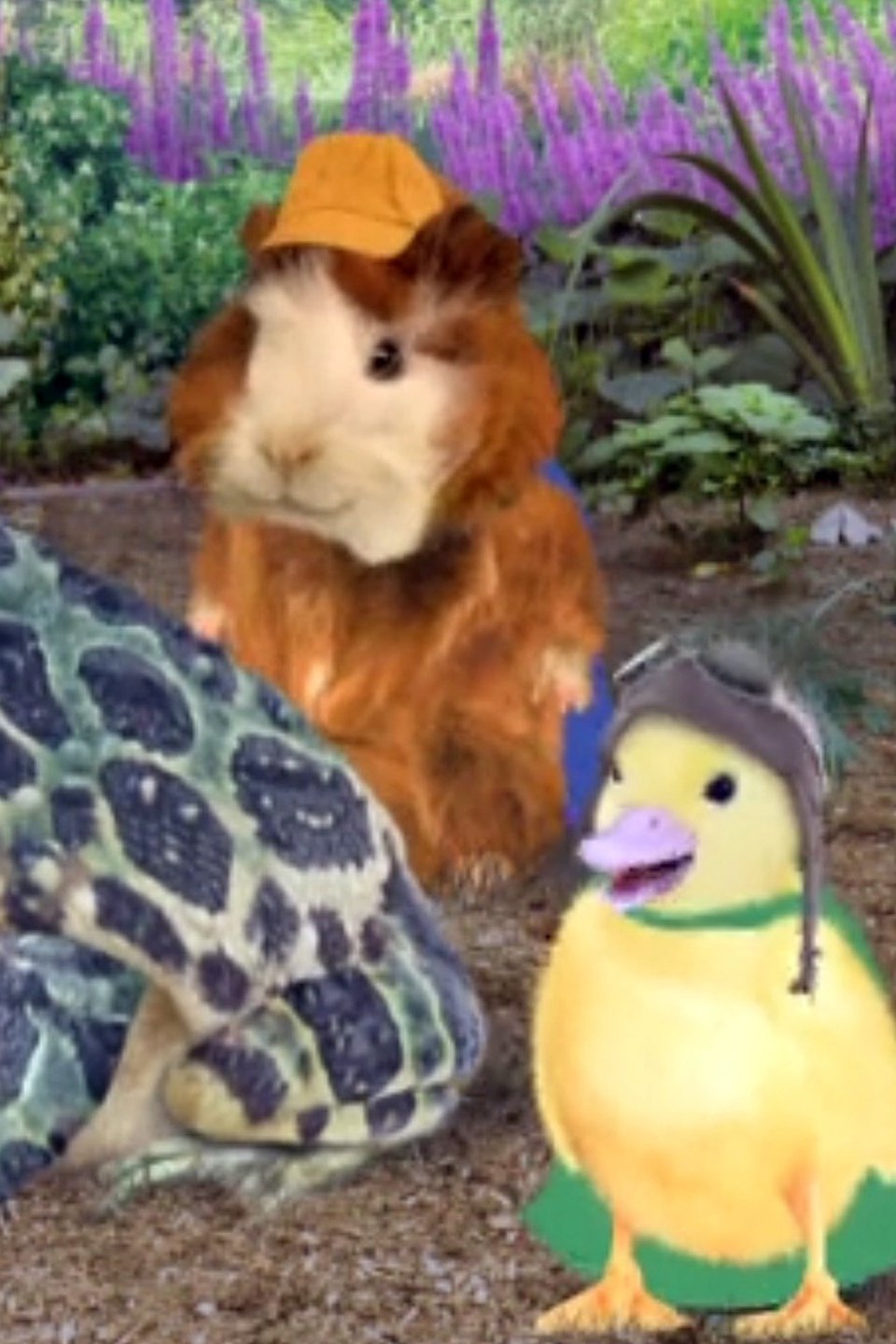 Watch The Wonder Pets S2e3 Save The Bullfrog Save The Poodle 2006